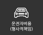 운전자비용(형사적책임)